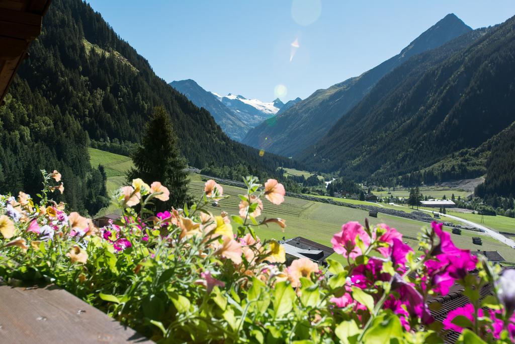 Haus Mary Apartment Neustift im Stubaital Bagian luar foto